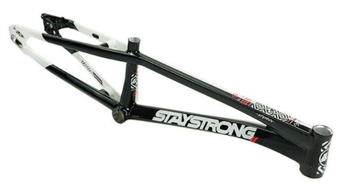 Staystrong V5.1 19.5" Expert Disk